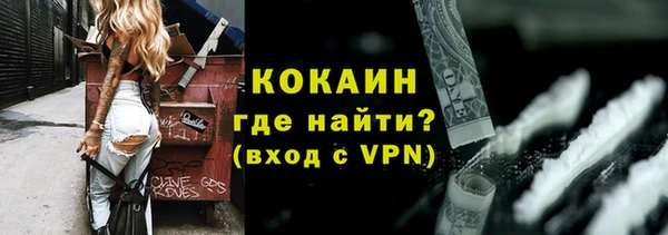 шишки Белоозёрский
