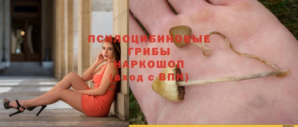 марихуана Белокуриха