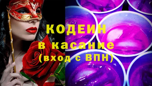 шишки Белоозёрский