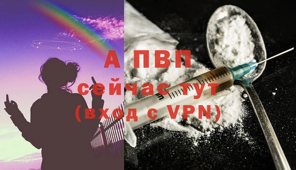 спайс Беломорск