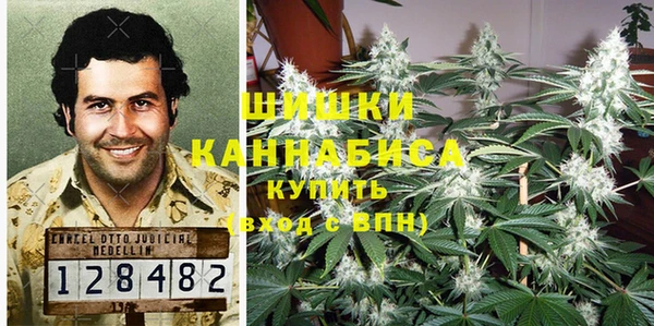 шишки Белоозёрский