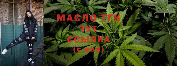 шишки Белоозёрский