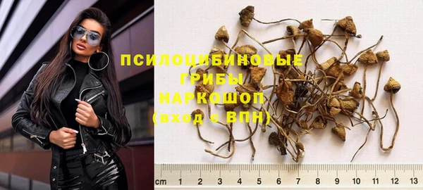 шишки Белоозёрский