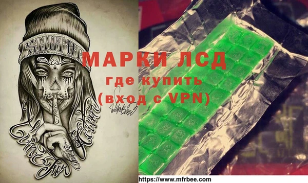 шишки Белоозёрский