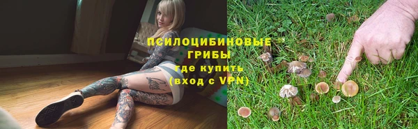 марихуана Белокуриха