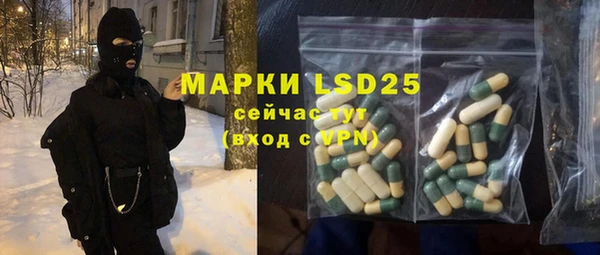 шишки Белоозёрский