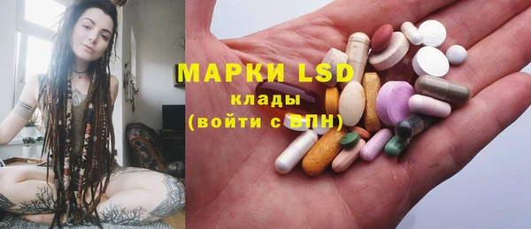 шишки Белоозёрский